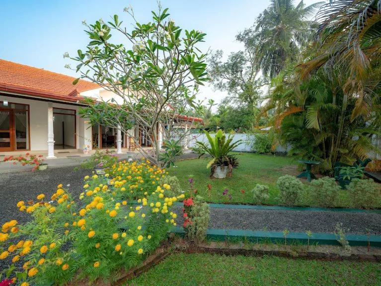 Araliya Villa Moragalla Zewnętrze zdjęcie